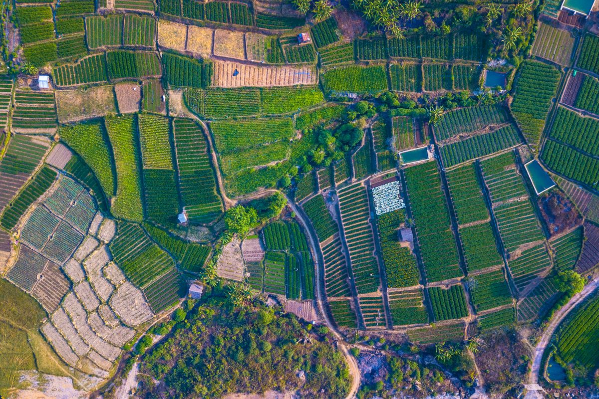 Agroindustria